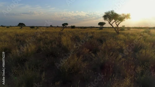 Green Kalahari Drone Dolly Forward