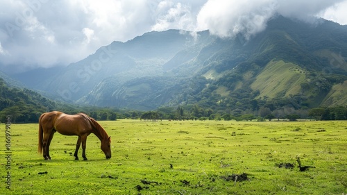 Horse grazing in lush green field with mountainous backdrop