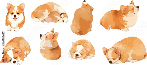 corgi watercolor clipart