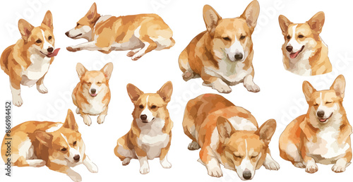 corgi watercolor clipart