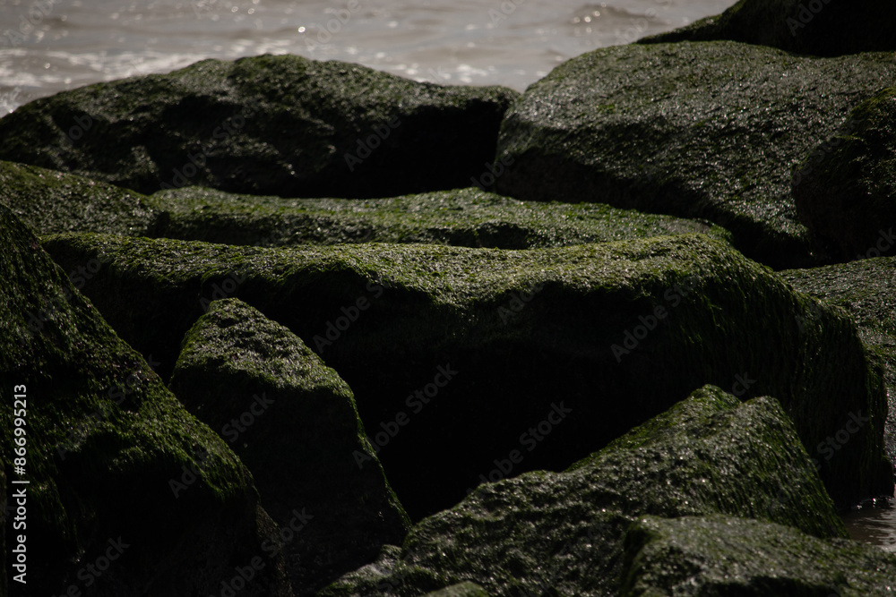This is an image of the beautiful black rocks of the jetty. Emerald green moss is growing on them that catches the sun and almost shimmers. The water can be seen in the background a bit. This is an image of the beautiful black rocks of the jetty. Emerald green moss is growing on them that catches the sun and almost shimmers. The water can be seen in the background a bit.
