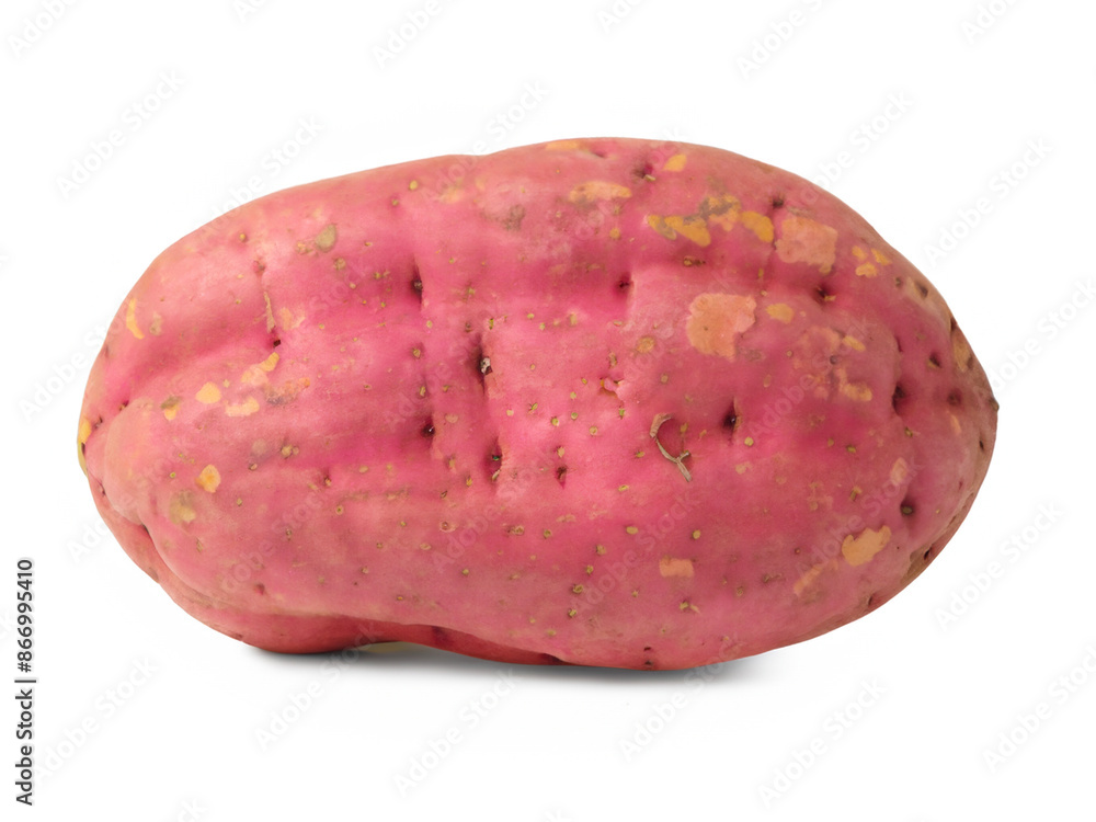 sweet potato on white background sweet potato on white background
