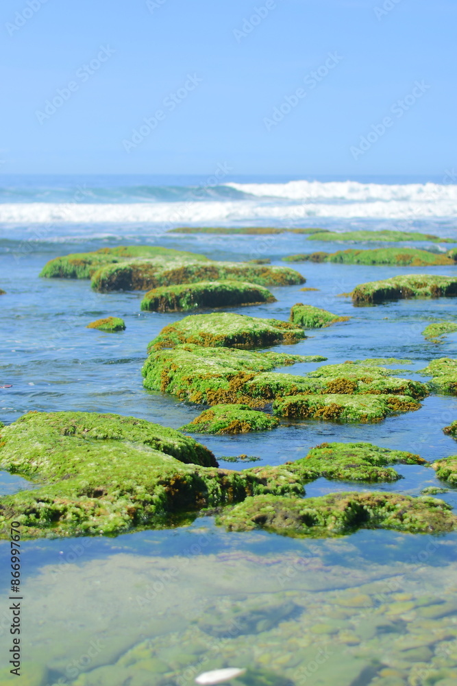 grass and water grass and water