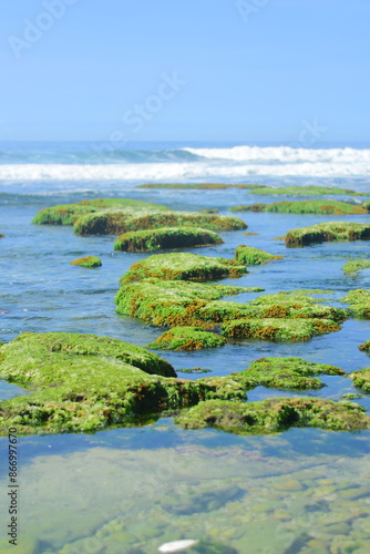 grass and water