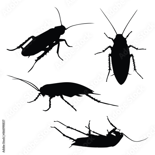Cockroach Silhouette Vector Illustration Bundle