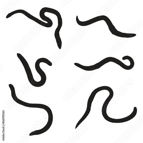 Earthworm Silhouette Vector Art