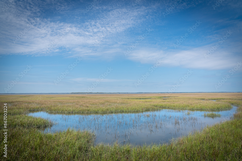 Obraz premium Amelia Island. Florida. Salt marshes reflecting blue sky.