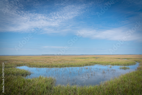 Wall Mural Amelia Island. Florida. Salt marshes reflecting blue sky.