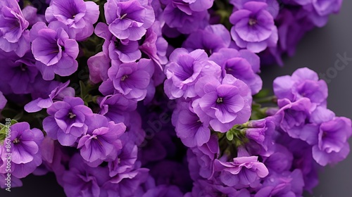 Many Statice flowers bouquet wallpaper. Close-up of vibrant purple flowers in full bloom, showcasing their delicate petals and lush green stems. Full screen filled.