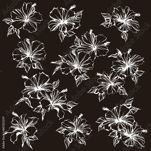 Impressive and beautiful hibiscus illustration collection,
