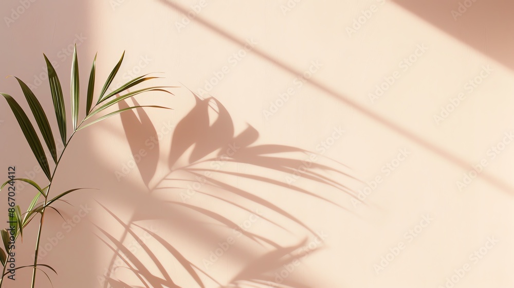Aesthetic shadow of potted plant on pastel wall, bathed in warm sunlight, creating a calming and serene atmosphere in a minimalist setting. Aesthetic shadow of potted plant on pastel wall, bathed in warm sunlight, creating a calming and serene atmosphere in a minimalist setting.