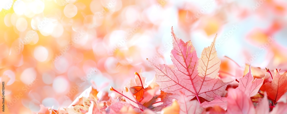 Close-up of autumn leaves in vibrant pink and orange hues, with a soft bokeh background under the warm glow of the autumn sun. Close-up of autumn leaves in vibrant pink and orange hues, with a soft bokeh background under the warm glow of the autumn sun.