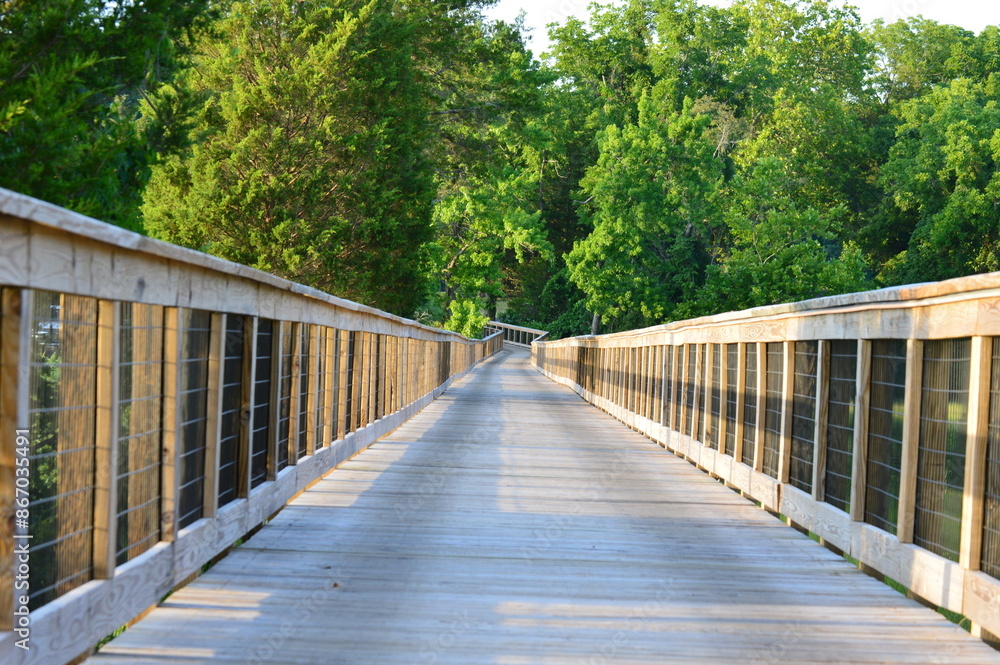 wooden bridge in the forest wooden bridge in the forest
