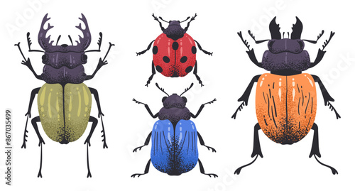 Hand drawn beetles. Wild nature insects, cute bugs, stag beetle, ladybug and leaf bug flat vector illustration set. Doodle little beetles