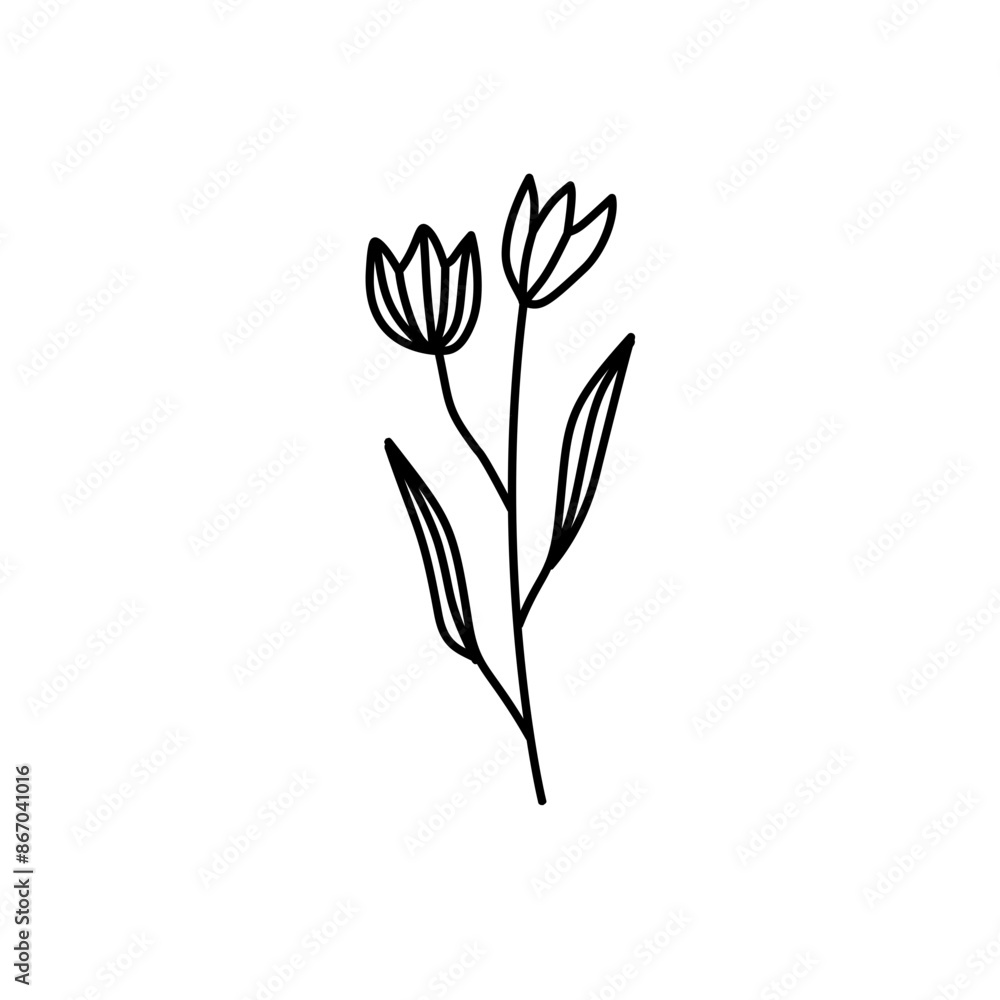 Obraz premium Hand drawn flowers and plants. Monochrome vector illustrations in sketch style.