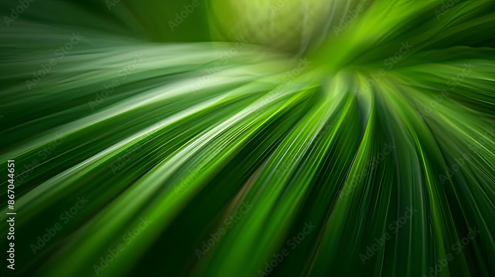 Closeup leaf texture. Closeup leaf texture.