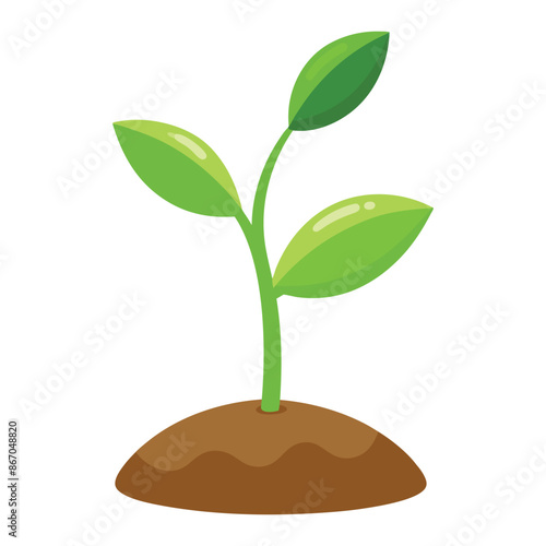 illustration of a little plant seedling