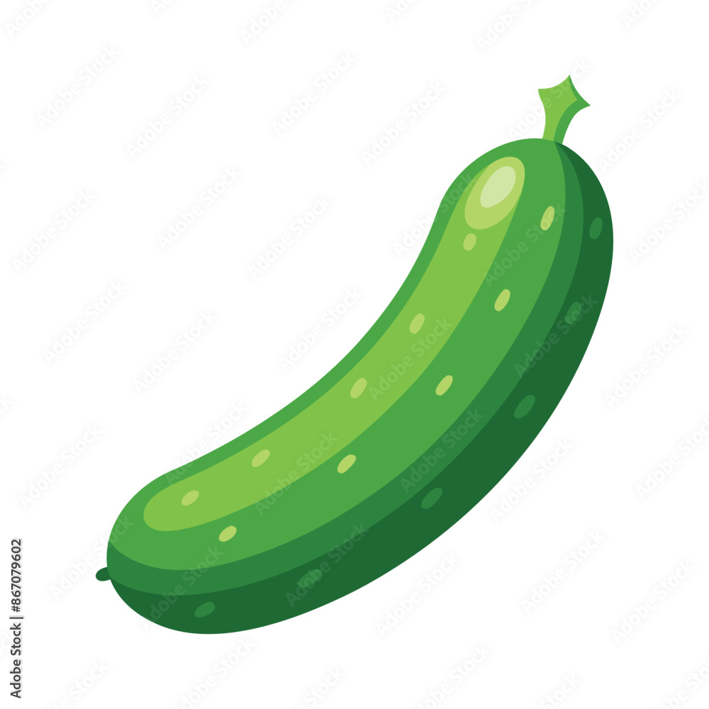 illustration of ripe cucumber on white illustration of ripe cucumber on white