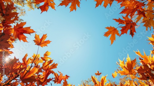 Picture of leaves assembled into a frame And in the middle is a clear sky. International Day for the Protection of the Ozone Layer. © Annawet boongurd