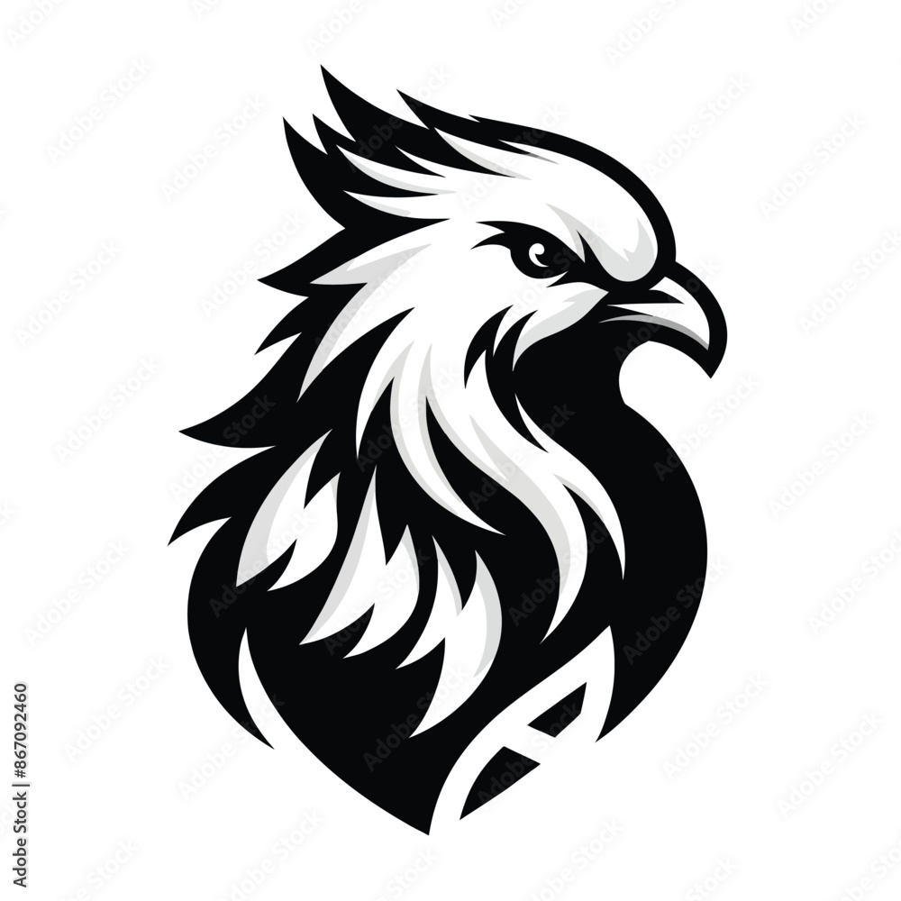 Fototapeta premium Illustration of a fierce dove in black and white