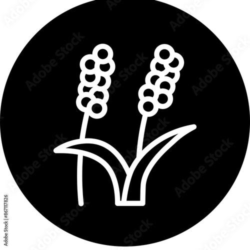 Millet Line White Circle Black