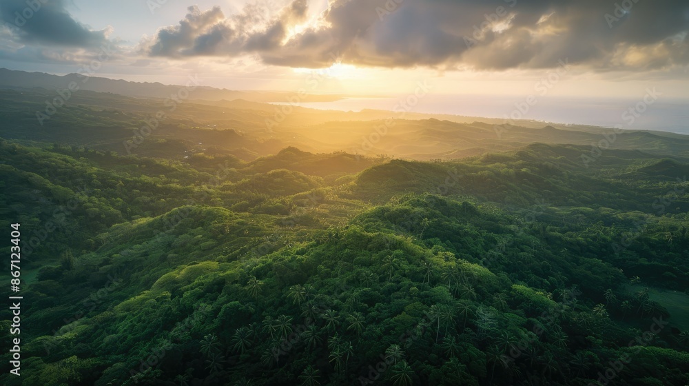 Aerial view of a tropical green forest on a mountain, with the sun rising over the horizon Aerial view of a tropical green forest on a mountain, with the sun rising over the horizon