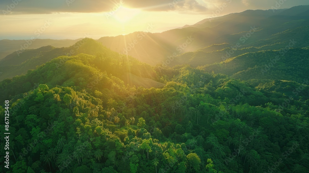 Morning sunrise over a tropical green forested mountain, captured in an aerial view Morning sunrise over a tropical green forested mountain, captured in an aerial view