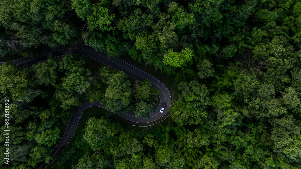 Aerial view asphalt road curve in jungle green forest with truck car winding road through the green forest, Truck car drive on the curve road between green forest, Curve road in woodland trip. Aerial view asphalt road curve in jungle green forest with truck car winding road through the green forest, Truck car drive on the curve road between green forest, Curve road in woodland trip.