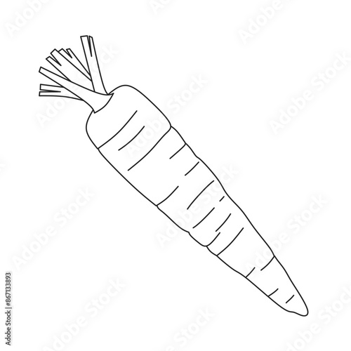 illustration outline of carrot