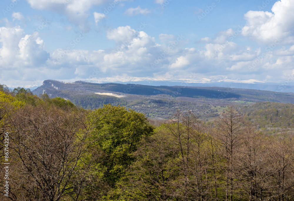 spring landscape in a mountainous area,blooming fruit trees in the garden spring landscape in a mountainous area,blooming fruit trees in the garden