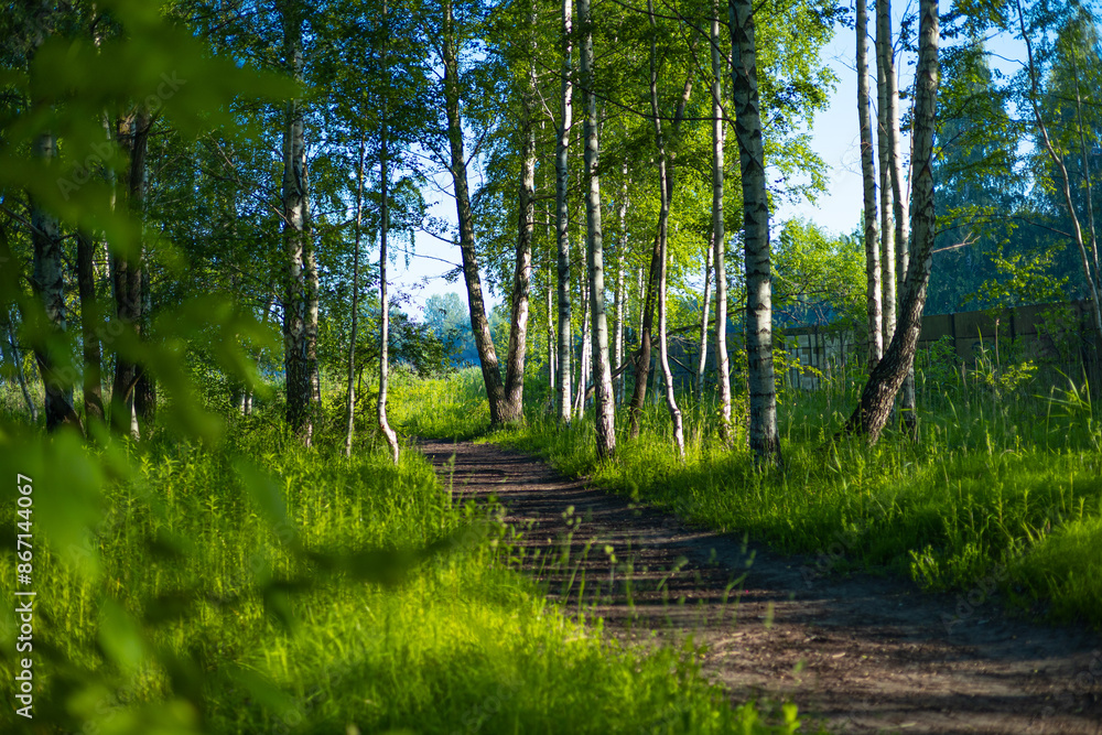 A beautiful summer forest with a small road. Bright, colorful scenery of rural Latvia, Northern Europe. A beautiful summer forest with a small road. Bright, colorful scenery of rural Latvia, Northern Europe.
