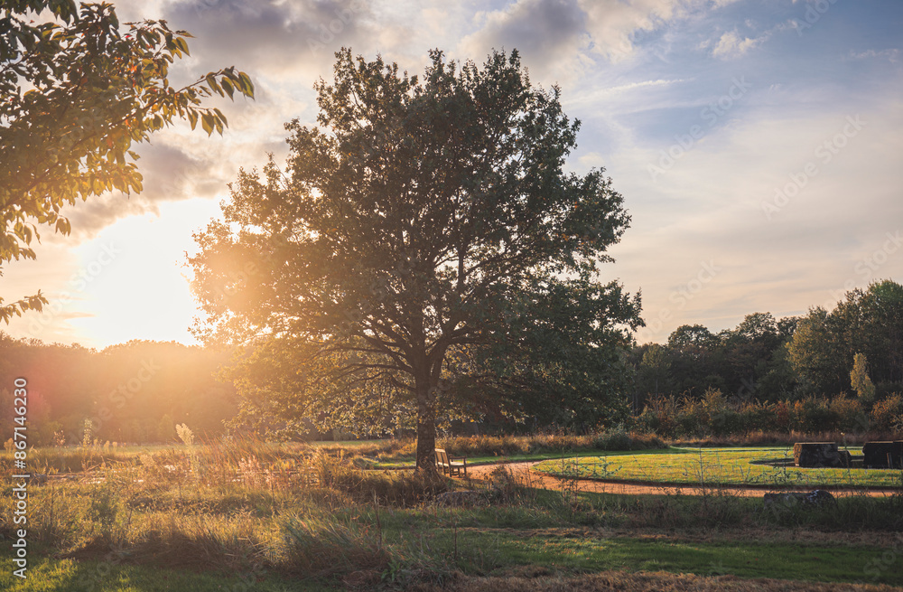 Fototapeta premium Golden hour serenity in the english countryside