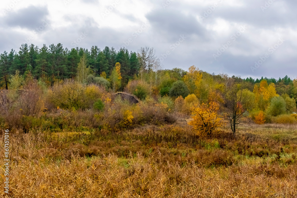Bright autumn landscape with cloudy sky. Bright autumn landscape with cloudy sky.