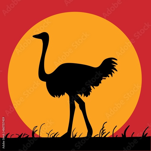ostrich silhouette in the sun
