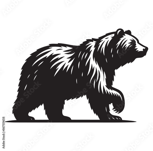 bear silhouette vector isolated on white background 