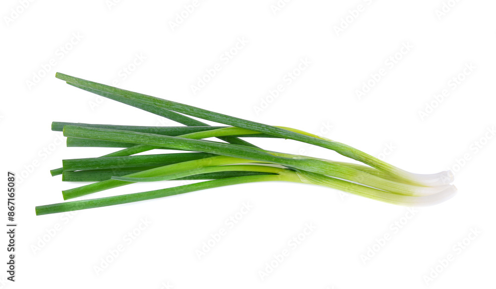 Green onion isolated on the white background Green onion isolated on the white background
