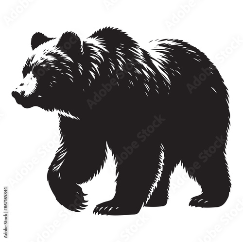 bear silhouette vector isolated on white background 