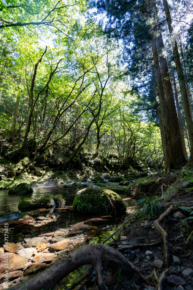 Obraz premium 元滝伏流水