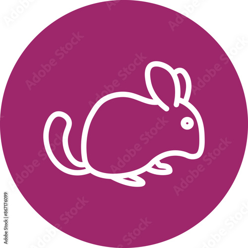 Chinchilla Line White Circles Multicolors