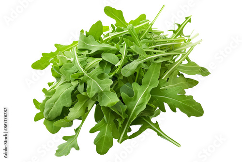 Obraz na plátně Bunch of fresh green arugula leaves isolated on a white background