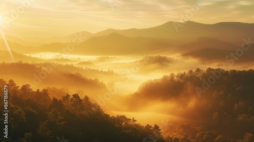 Golden morning light over misty mountain range, forest shrouded in fog, invigorating sunrise, serene and breathtaking landscape