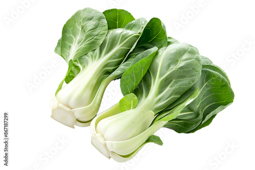 Tableau sur toile Fresh green bok choy vegetables cabbage isolated on a white background