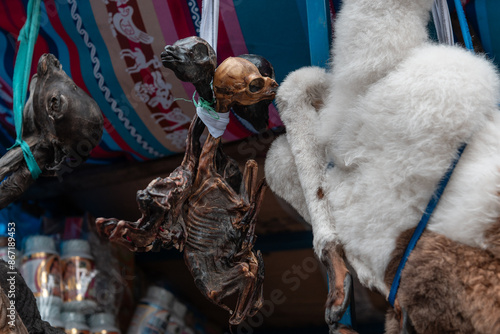 Canvas Print llama fetuses at the witches market in la paz bolivia