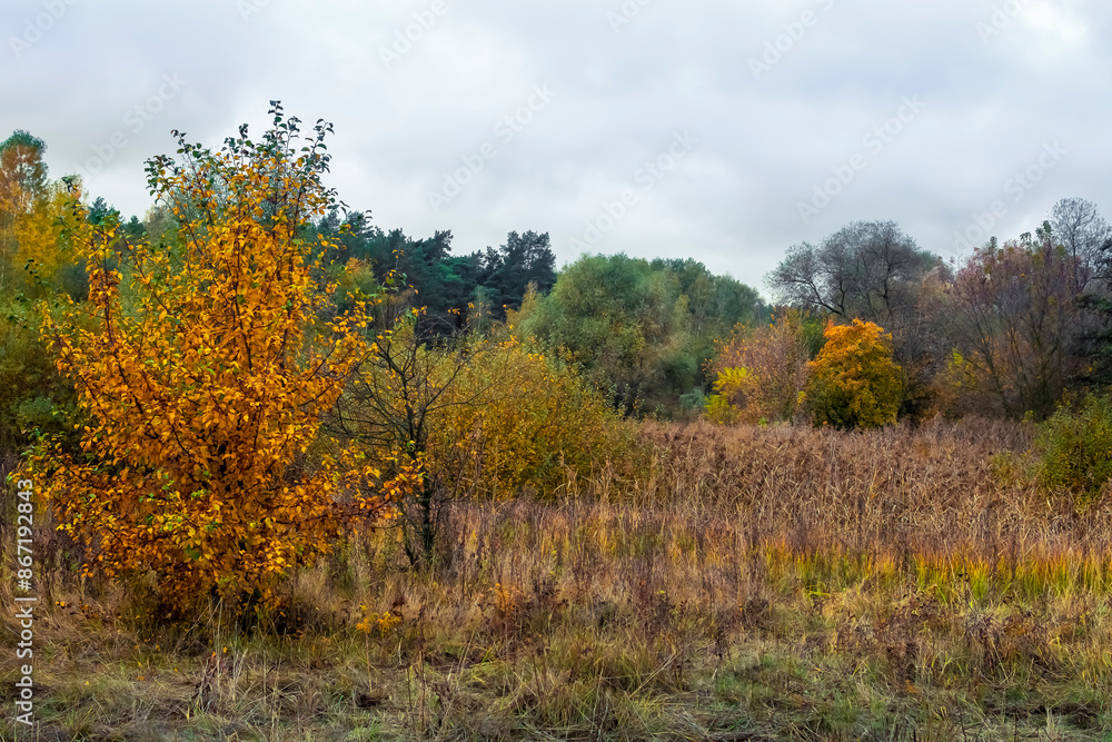Bright autumn landscape with cloudy sky. Bright autumn landscape with cloudy sky.