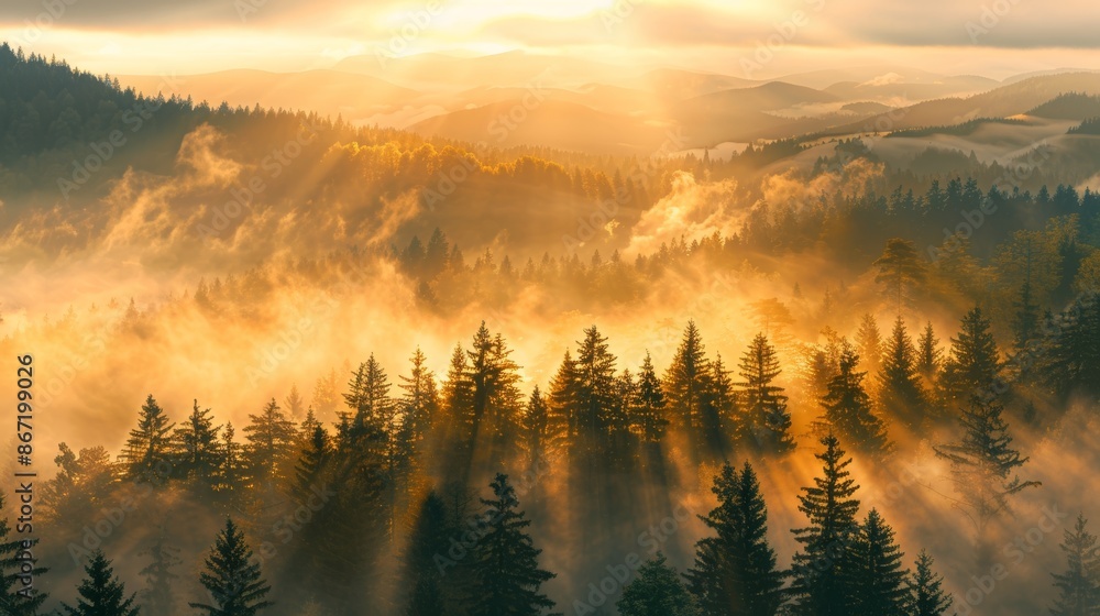 Sunrise over misty mountain range, golden rays cutting through fog, forest in morning light, serene and majestic view Sunrise over misty mountain range, golden rays cutting through fog, forest in morning light, serene and majestic view