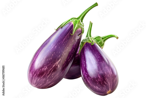 Bild auf Leinwand A single striped Italian purple eggplant is isolated on a white background