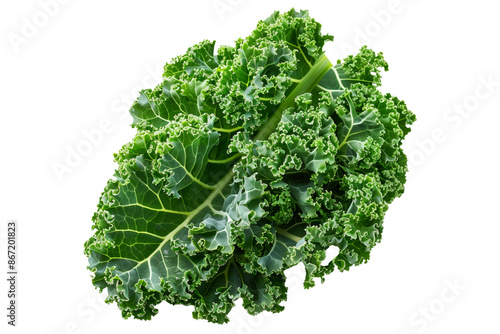 Wall Mural Fresh green curly kale salad leaf isolated on a white background.