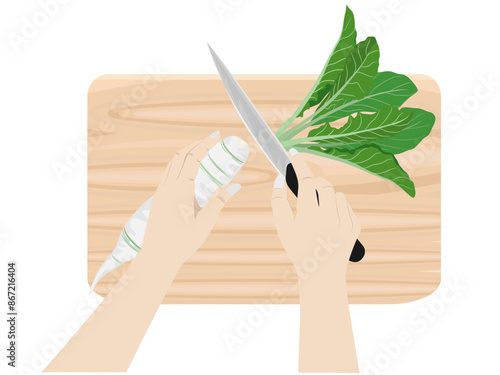 turnips on a white background.