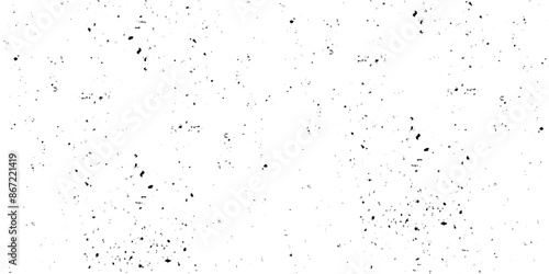 Abstract vector noise. Small particles of debris and dust. Distressed uneven background. Grunge texture overlay with rough background.  Grain noise particles. Rusted white effect. Grunge design