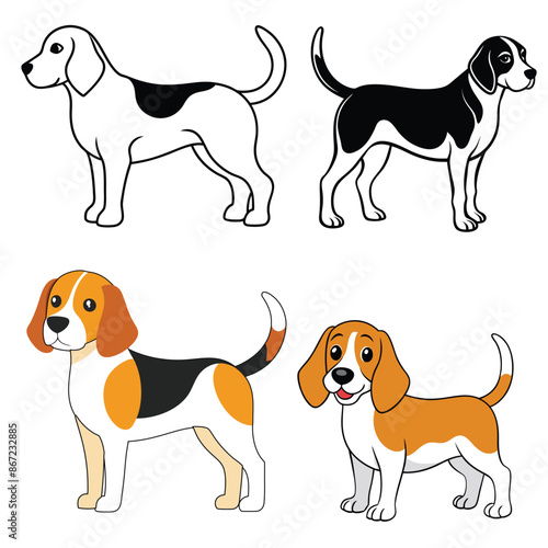 Beagle Dog Illustration